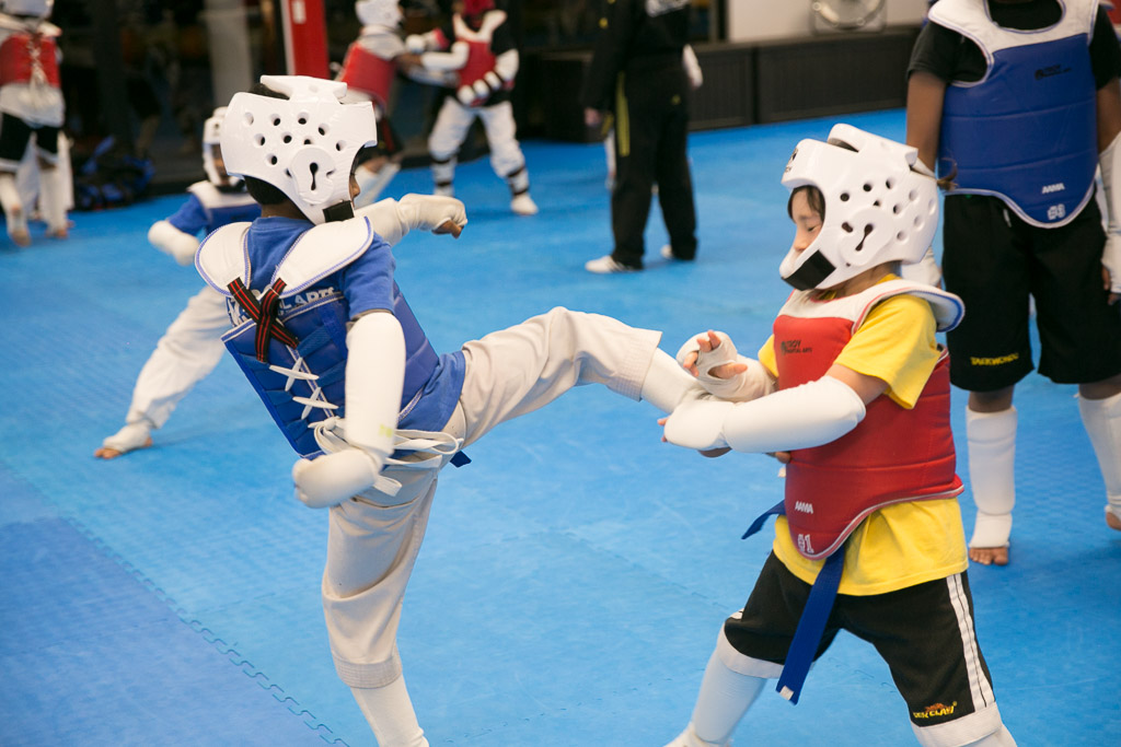 Troy Martial Arts Taekwondo Karate Sparring